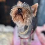 Peter Rutter - @nutzrutz - Instagram