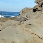Peter Ryan - @chookars - Instagram