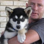Peter Ryder - @peter.ryder.92 - Instagram