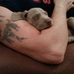 Peter Sabol - @peter.sabol.90 - Instagram