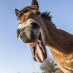 Peter Sabol - @peter.sabol.543 - Instagram