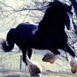 Peter Sabol - @pe.sabol - Instagram