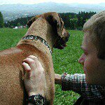 Peter Sabol - @petersabol - Instagram