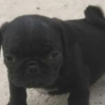 Peter Saenz - @peter_._saenz - Instagram