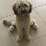 Peter Sales - @chillianpepper - Instagram