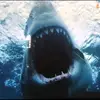 need a bigger boat - @petesalvucci - TikTok
