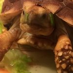 Peter Salvucci - @peter__334 - Instagram