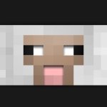 Peter Salvucci - @minecraft334_ - Instagram