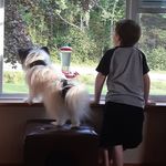 Peter Sanford - @petesanfrd - Instagram