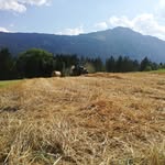 petersanter - @bauern_bua22 - Instagram