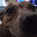 Peter Sasso - Facebook
