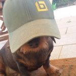 Peter Sasso-Sant - @peter_elio_02 - Instagram