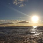 Pete Schaper - @peter.schaper.754 - Instagram