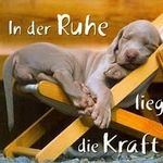 Peter Schäpertöns - @peterschapertons - Instagram