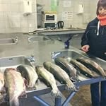 Peter Scharf - @opa_765 - Instagram