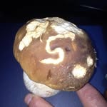 Peter Scharf - @15.o7.53 - Instagram