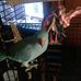Peter Schembri - Facebook
