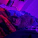 Peter Schild - @pschild40 - Instagram
