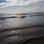 Peter Schoenfeld - @pk.schoenfeld - Instagram
