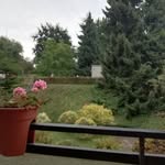Peter Schroeter - @peter.schroeter.501 - Instagram