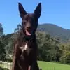 Peter Schryver - @peter.schryver - TikTok