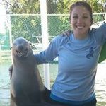 Peter Schuller - @peter_schuller - Instagram
