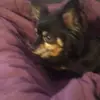 peterschulz6021 👍🏽 - @peterschulz6021 - TikTok