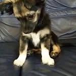 Peter Schürmann - @peter.schuermann - Instagram