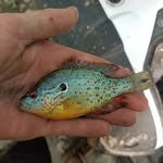 peter schutt - @peterschutt___ - Instagram
