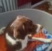 Peter Schutt - Facebook