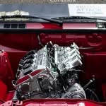 Peter Sciascia - @petersciascia - Instagram