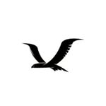 Peter Williams - @blackhawk_contract_service_ - Instagram
