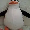 Peter Seidel - @peter.seidel3 - TikTok