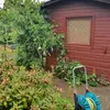 Peter Seiler358 - @peterseiler358 - TikTok