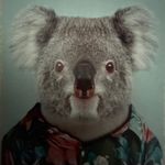 Peter Seiler - @seiler1273 - Instagram