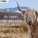 Peter SEILER - @seiler208 - Instagram