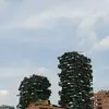 Peter Seiler - @peter.seiler7 - TikTok