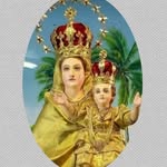 Peter Sequeira - @sequeira6222 - Instagram