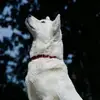 severinopeter - @severinopeter - TikTok