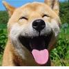 bishi87638 - @petershare - TikTok