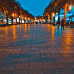 Peter Sharkey - @petersharkey11 - Instagram