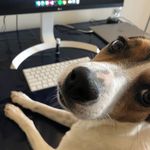 Peter Sharkey - @peter_sharkey - Instagram