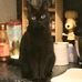 Peter Sharp - Facebook
