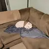 petersharp376 - @petersharp376 - TikTok