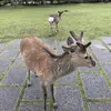 Peter.Shaw - @peter.shaw0 - TikTok