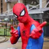sheffields_no1_peterparker - @sheffields_peterparker - TikTok