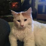 Peter Sheldon - @wanderingpetesheldon - Instagram