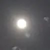 Peter.shelly - @peter.shelly - TikTok