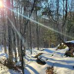 Peter Shipman - @peter.shipman.77 - Instagram