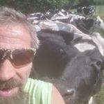 Peter Shipman - @petershipman7139 - Instagram